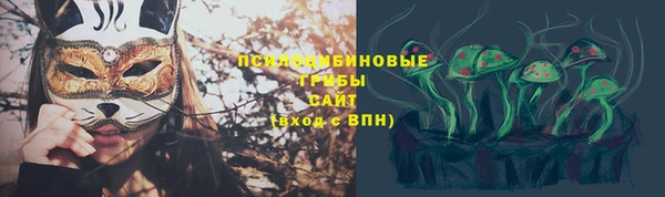таблы Няндома
