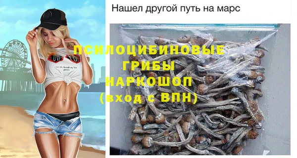 мдма Новозыбков