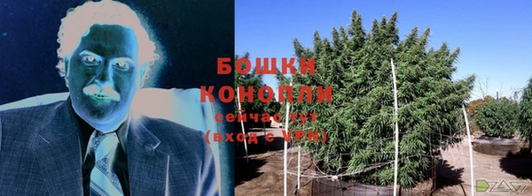 ECSTASY Нязепетровск