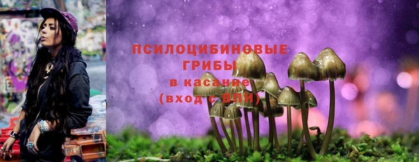 таблы Няндома