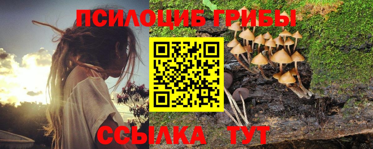 Галлюциногенные грибы мухоморы  Псилоцибиновые грибы Magic Shrooms  Павлово  Вход с VPN 