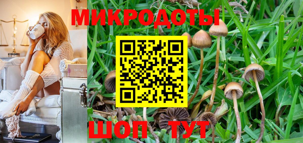 Псилоцибиновые грибы мицелий Павлово